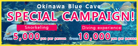 Okinawa Blue Cave SPECIAL CAMPAIGN!